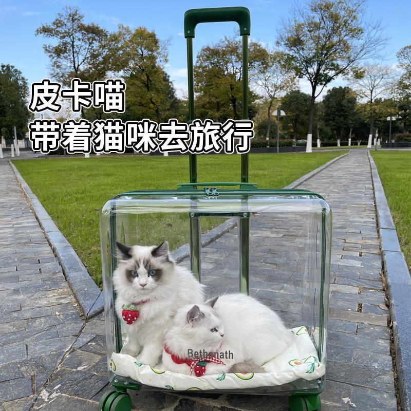 透明宠物拉杆箱猫狗出行用品 结实便携猫咪行李箱双肩包