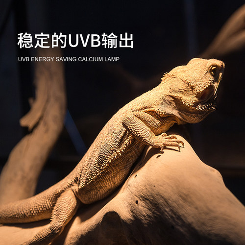瑞皮reptizoo爬宠UVB灯泡爬宠补钙灯管陆龟蜥蜴乌龟晒背爬缸加热