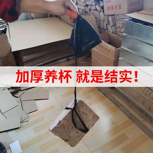 量大从优!营养钵育苗盆种植穴盘塑料营养袋育苗袋营养杯育苗杯