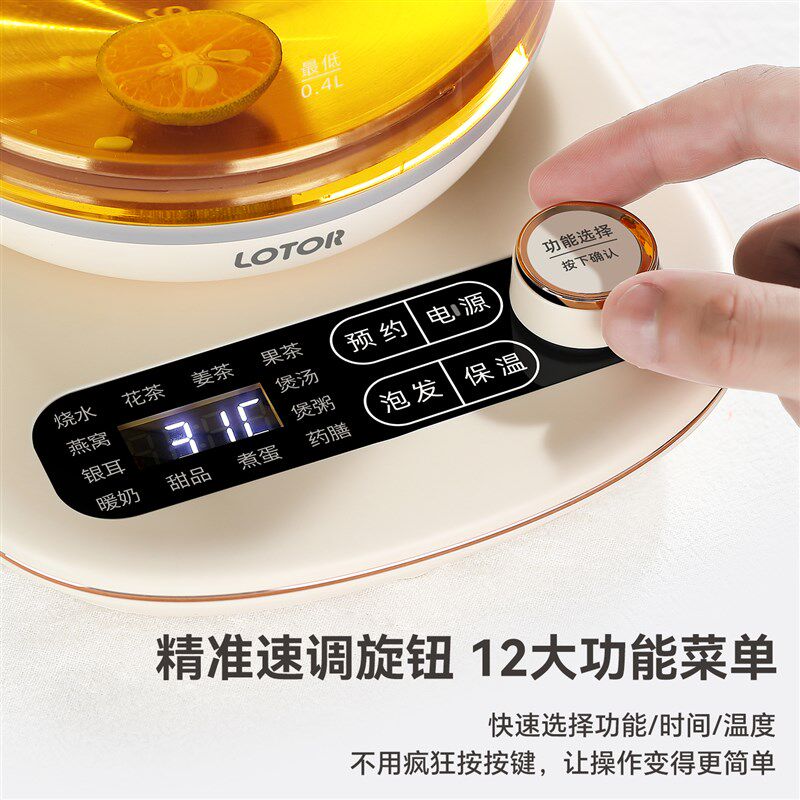 徕多养生壶家用多功能炖煮一体电热烧水小型办公室煮茶壶2025新款