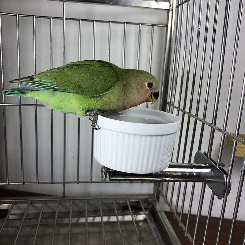 鹦鹉食盒陶瓷杯鸟食碗防外撒食罐鸟类饲料盒八哥虎皮牡丹玄凤