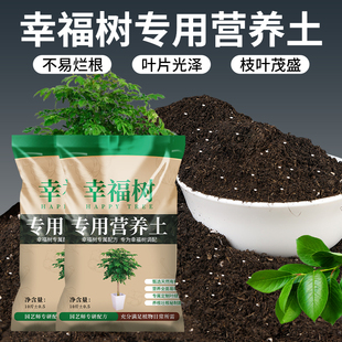 幸福树专用土营养土幸福树专用肥料绿植盆栽养花通用有机种植泥土