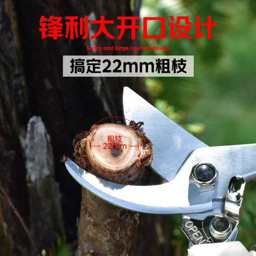 枝条修剪刀鲜花剪园艺园林盆景水果树粗枝专用修枝剪刀工具家用