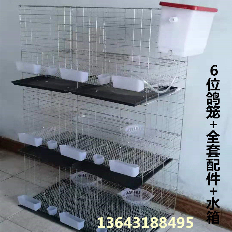 2位4位6位加粗鸽子笼阳台鸽笼养殖笼信鸽笼配对繁殖笼观赏鸽笼子