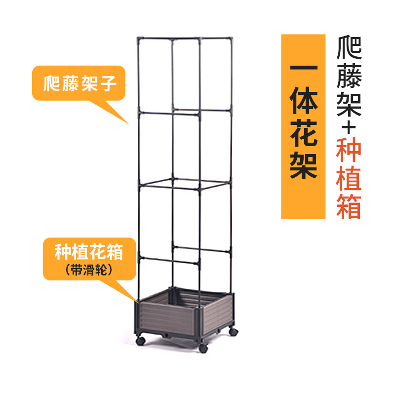花架爬藤架番茄攀爬支架杆种菜百香果天台蔬菜种植黄瓜阳台菜架子