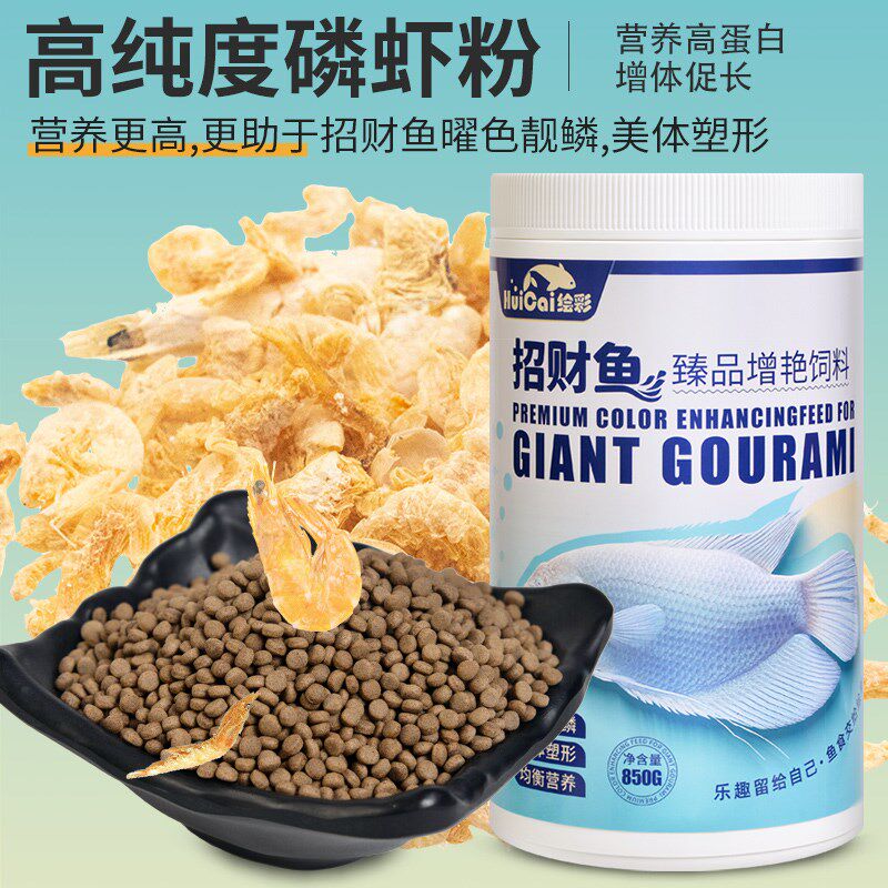 绘彩招财鱼饲料地图鱼战船热带鱼鱼食发财鱼白招财观赏鱼专用鱼粮