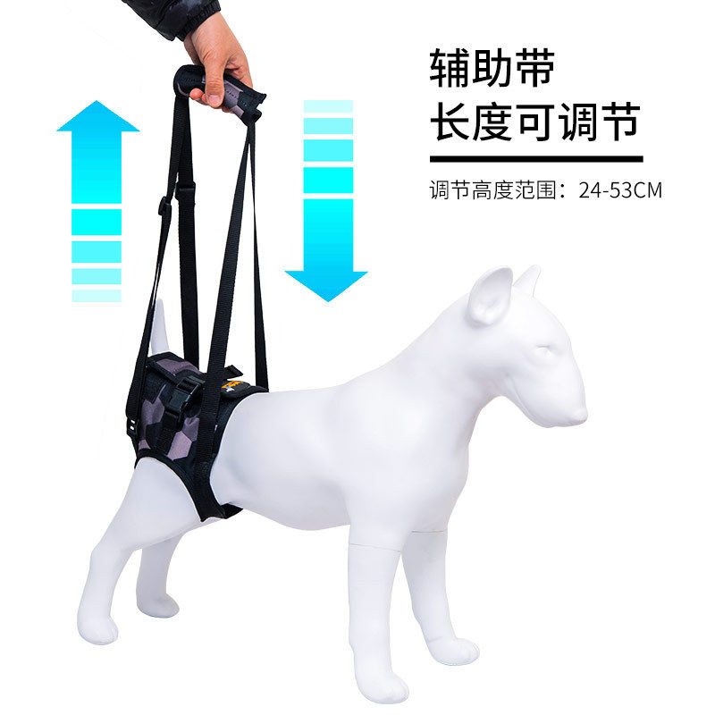 宠物前后腿辅助带狗狗腿部瘫痪残疾受伤行走助力带老年犬牵引绳