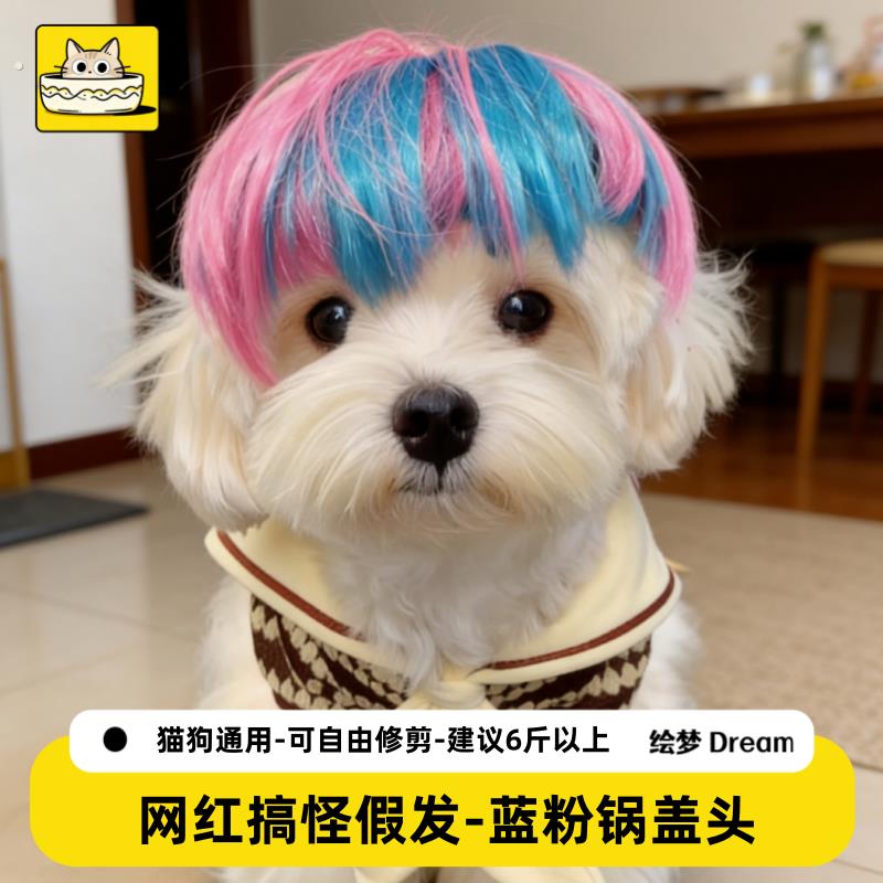 宠物假发狗狗假发套小猫咪杀马特假发搞笑头饰搞怪可爱头套装扮
