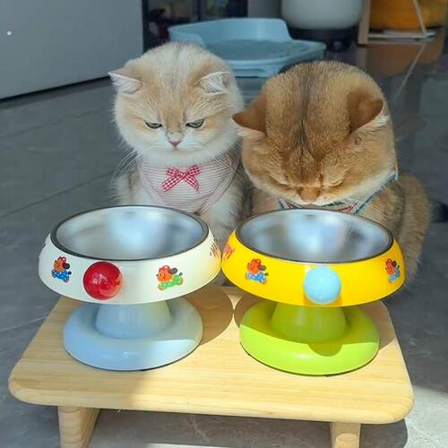 猫碗猫盆猫咪饭碗喝水碗不锈钢吸盘狗碗防滑不打翻保护颈椎宠物碗