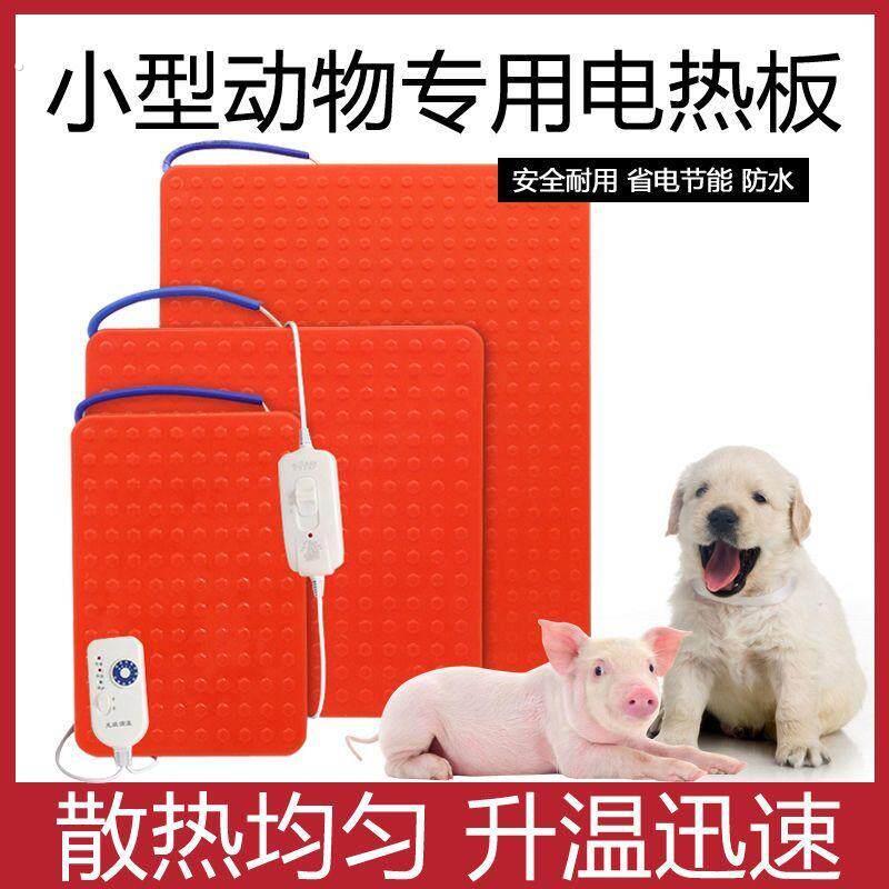 电热板狗狗专用宠物电热板小型保温动物兔子加热取暖板狗用仔猪兽