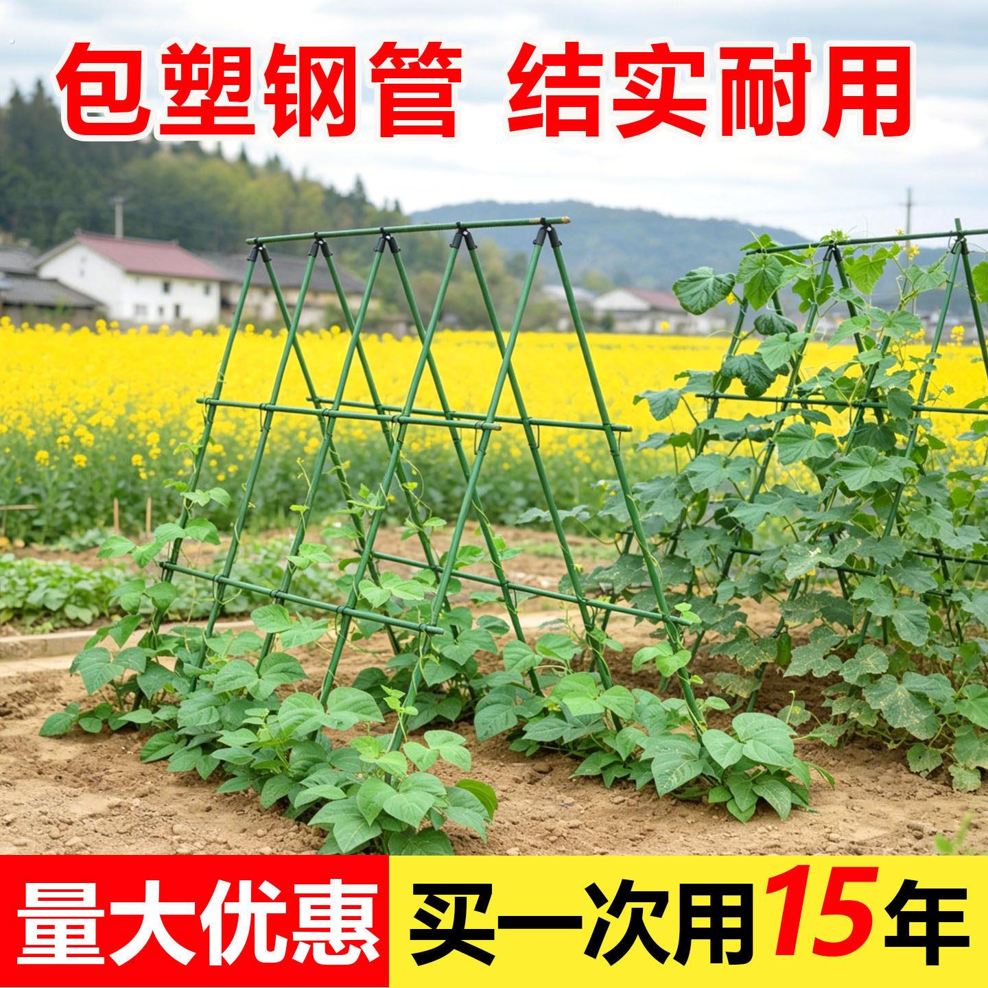 瓜果爬藤架支伸缩杆黄瓜架子豆角架杆番茄支伸缩杆葡萄架子庭院户