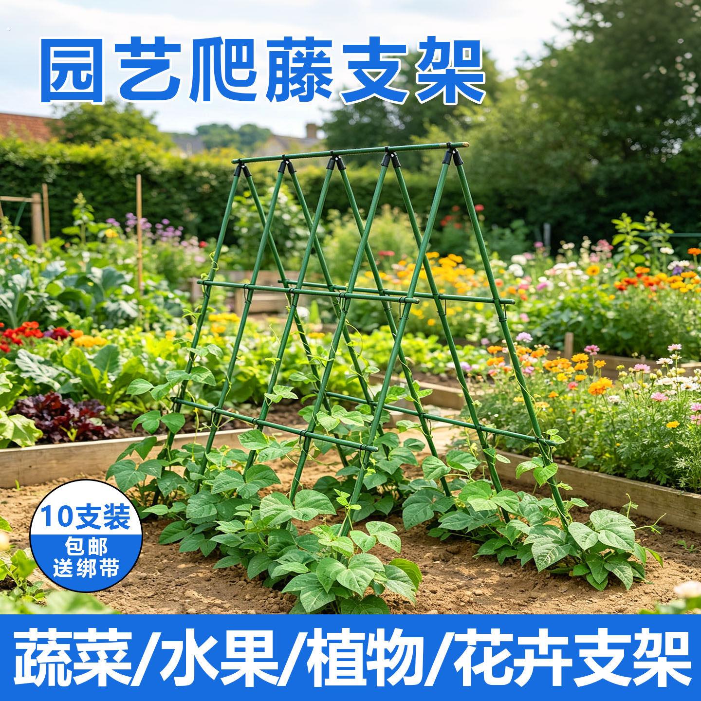 黄瓜爬藤架子四季豆架杆植物支伸缩杆种菜架子园艺菜地支架葡萄架