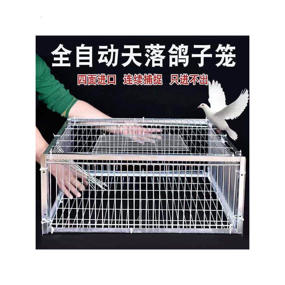 鸟笼捕捉器室外自动捕鸽神器祇进不出鸟笼防逃加粗天落笼祇进不出