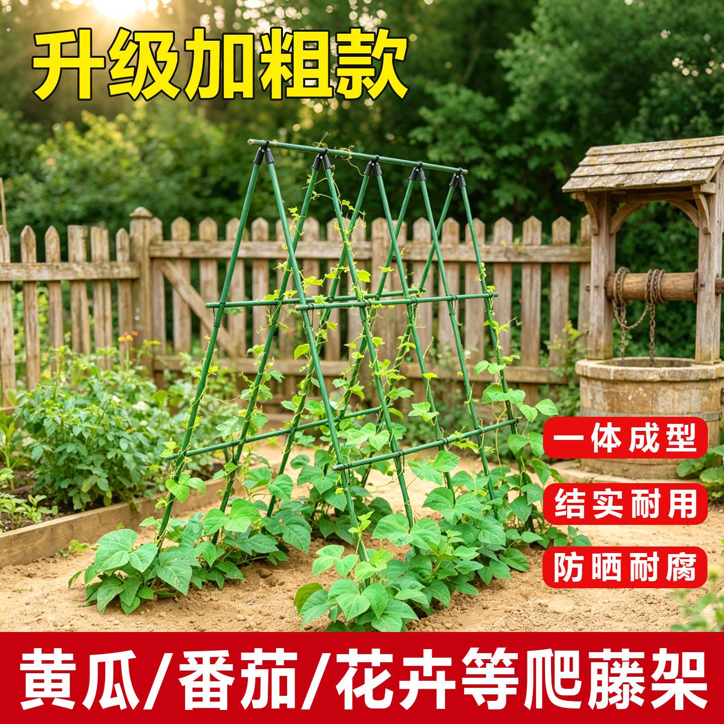 黄瓜爬藤架子四季豆架杆植物支伸缩杆种菜架子园艺菜地支架葡萄架