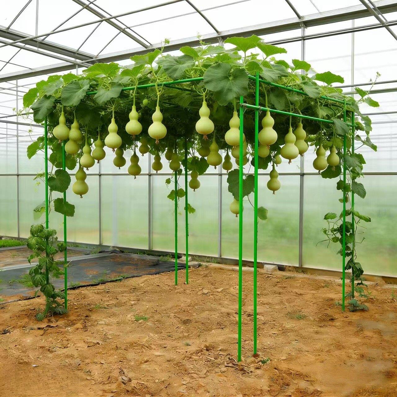 葡萄架子庭院户外爬藤架葫芦架丝瓜百香果架种菜植物瓜棚架支伸缩