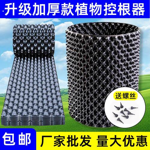 控根器植树专用围树板加厚控根板塑料移苗育苗园林绿化工程排水板