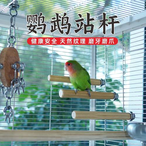 鹦鹉站杆天然野生六道木八哥画眉鸟站棍站架磨爪棍鸟笼配件用品