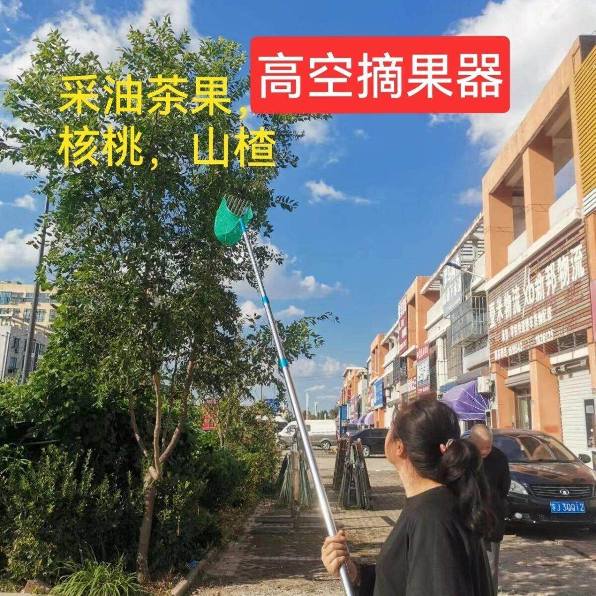 摘果神器伸缩摘茶树籽油茶果高空采摘板栗核桃山渣摘果器