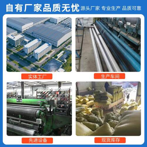 大棚专用防鸟网黑色涤纶果树防护网养殖鱼塘果园农田拦鸟天网罩