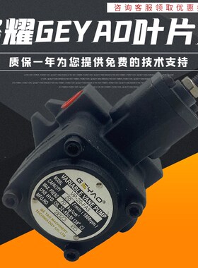 正品格耀VP-20-FA3 GEYAO 液压泵30/40 变量叶片泵油泵液压站泵头