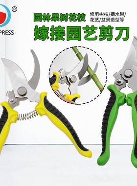 不锈钢弯口剪园林修枝工具 园林果树花枝剪刀 摘果剪园艺嫁接剪刀