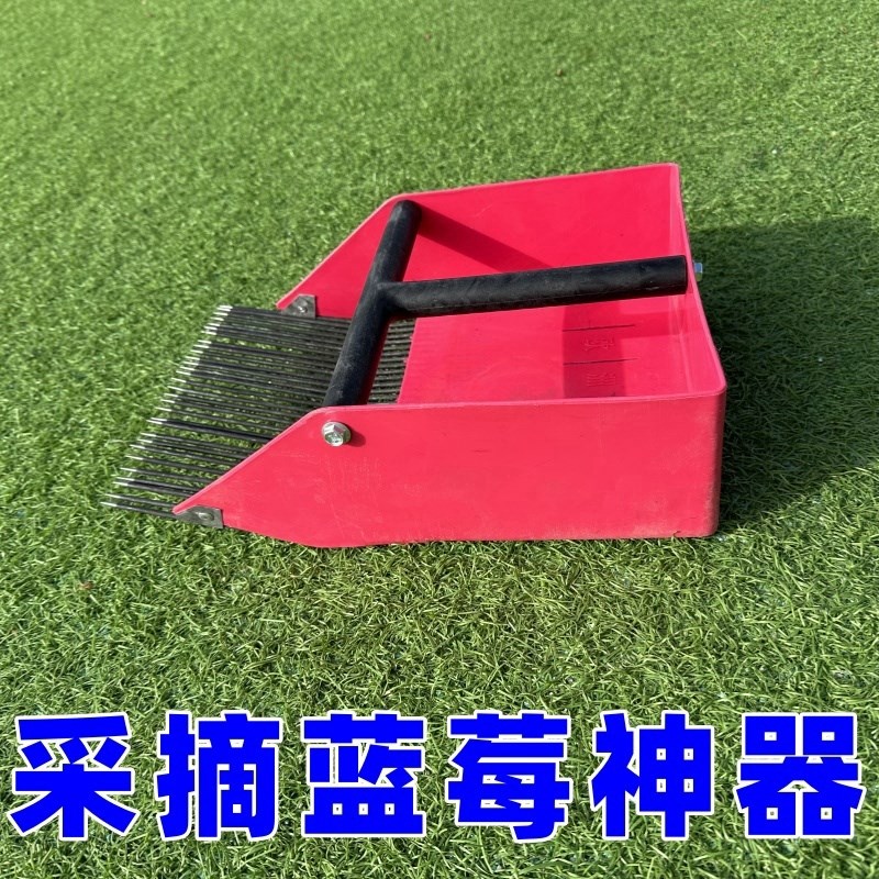 采蓝莓工具蓝莓采摘工具蓝莓采摘神器红豆花籽树籽
