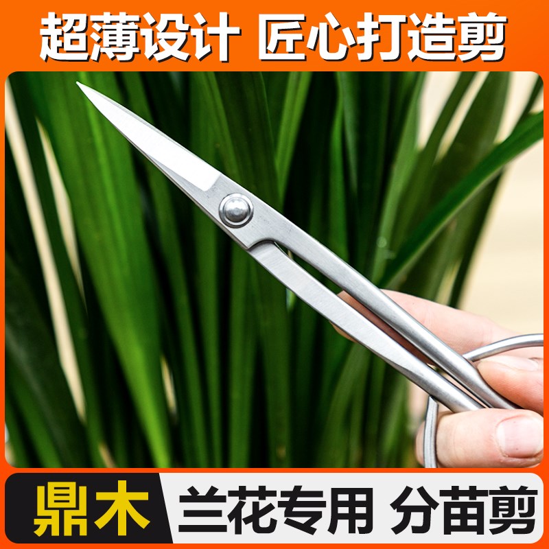 鼎木兰花分苗剪园艺盆景加长超薄盆栽剪造型工具叶芽剪兰花剪菖蒲