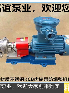 高温电动不锈钢齿轮泵KCB33.3防暴齿轮油泵耐高温抽油泵防暴整机