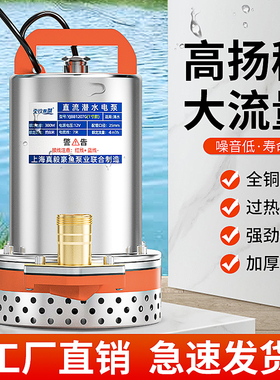 壹玖捌捌直流潜水泵12V24V48V60V电瓶车家用小型灌溉农用抽水机泵