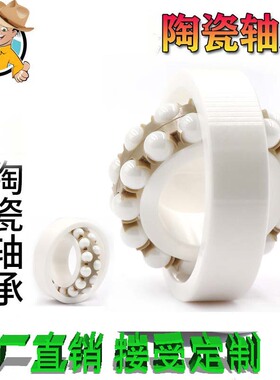 新品调心陶瓷轴承1201ce氧化锆材质防水腐蚀酸碱盐无磁轴承内径12