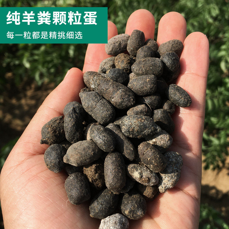 云南纯羊粪发酵有机肥料腐熟羊粪蛋粒大包100升包邮种菜养花专用