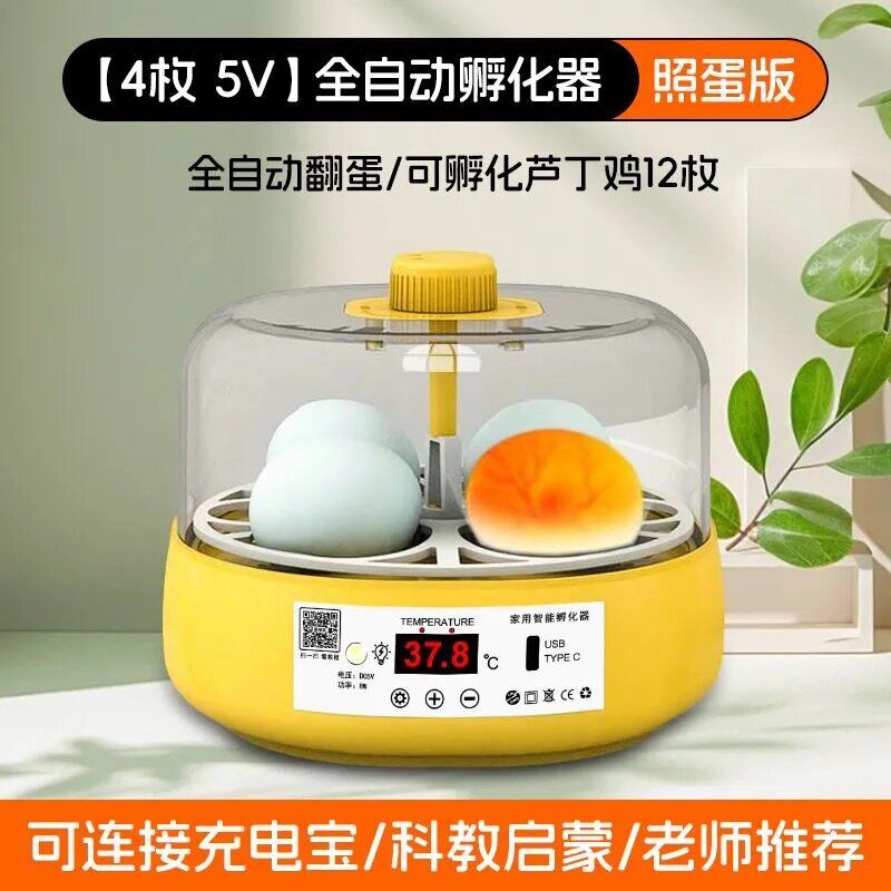 孵蛋器芦丁鸡小鸡孵化器小型家用智能孵化机水床鹦鹉全自动孵化箱