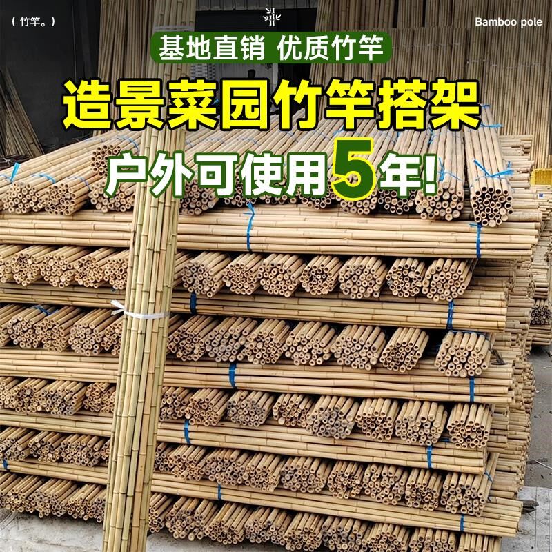 豆角架杆竹竿菜园搭架黄瓜番茄爬藤架葡萄架小竹子细竹竿篱笆栅栏