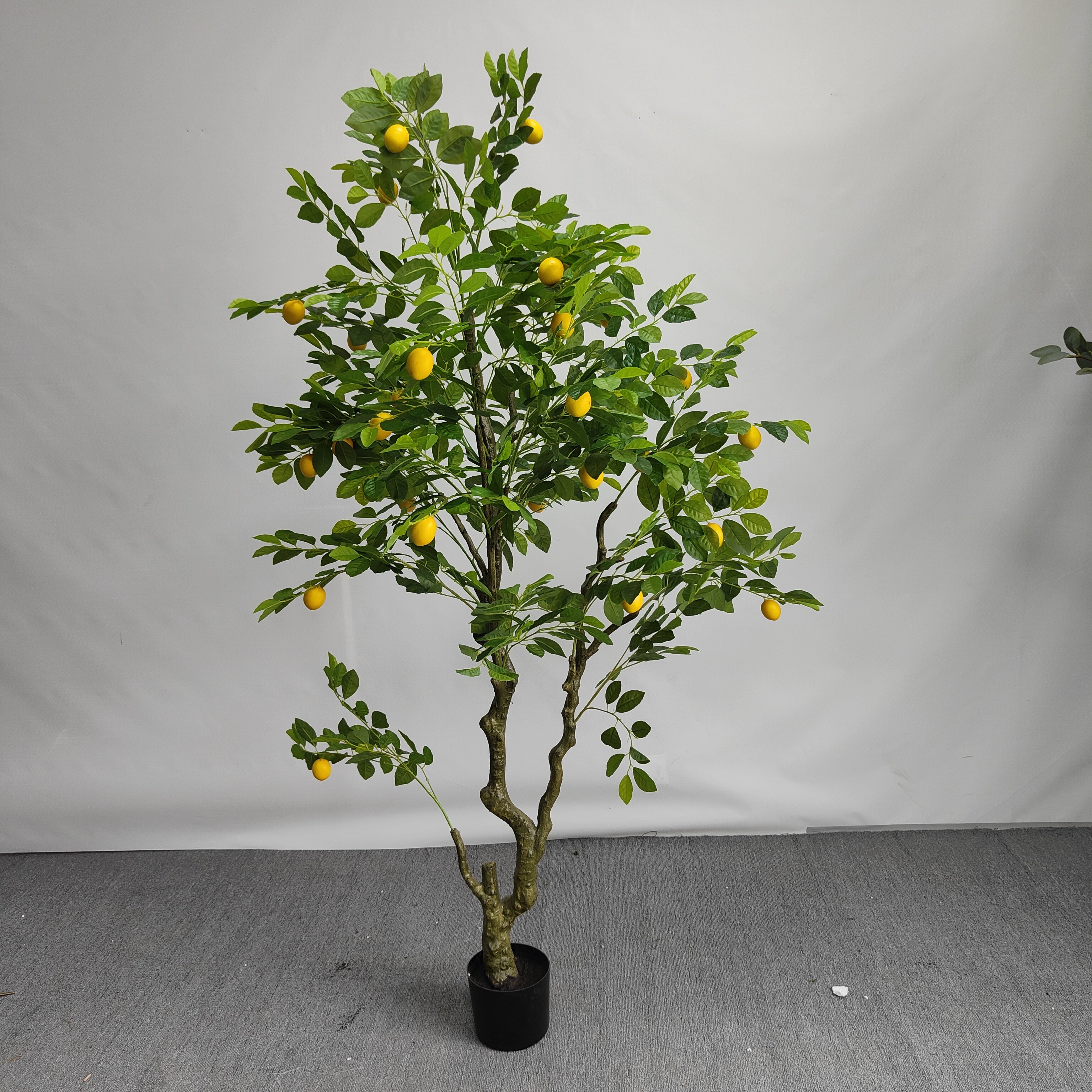 北欧风仿真绿植柠檬树盆栽摆件室内客厅装饰假植物盆景假树仿真树