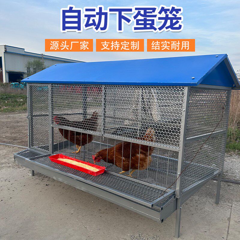 鸡笼家用室外铁丝网大号防雨防黄鼠狼防鼠养殖鸡笼防啄鸡下蛋鸡笼
