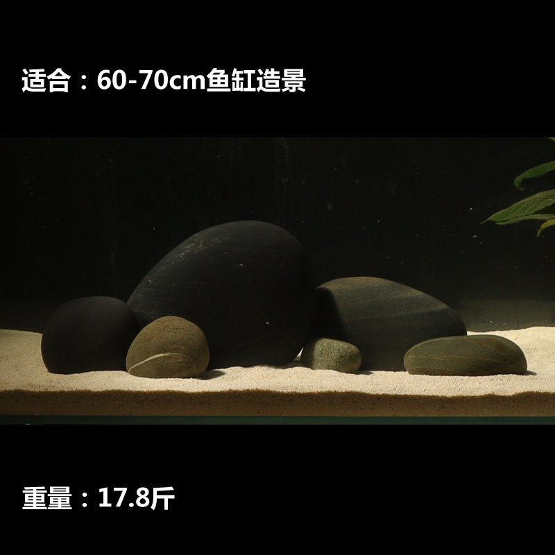 小鱼缸天然花纹鹅卵石造景红色珊瑚南美原生草缸水族装饰石头摆件