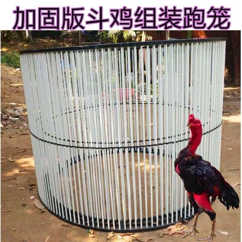 斗鸡加固跑笼 组装跑笼 训练跑笼 鸡笼子折叠笼家用包邮 斗鸡用品