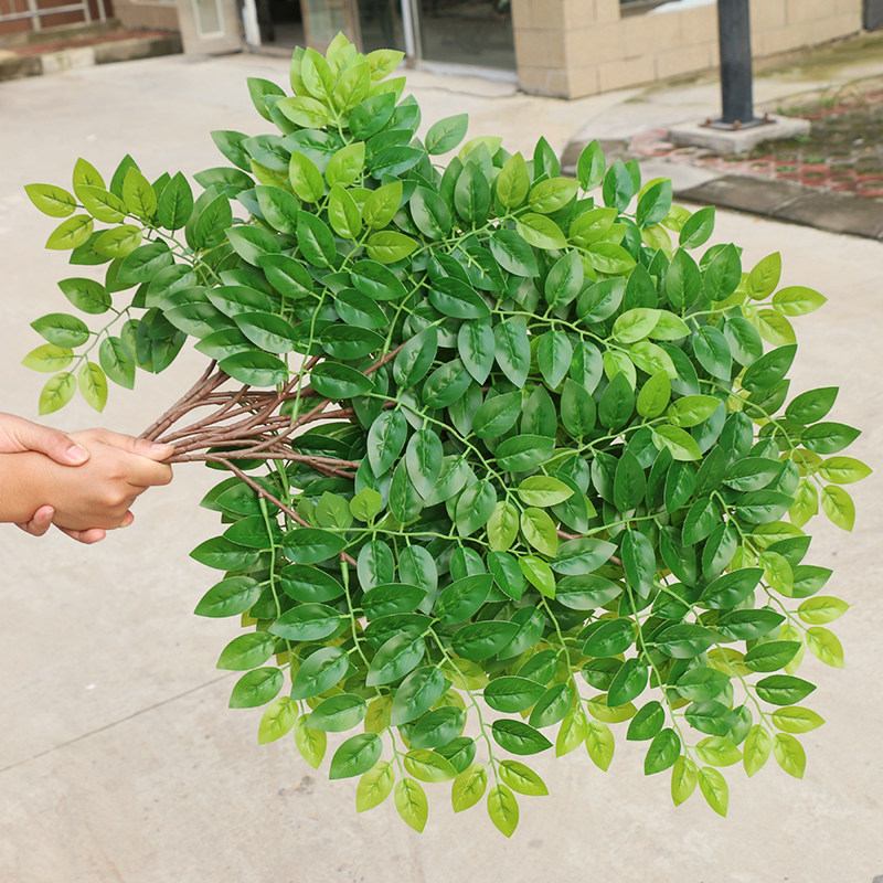 仿真榆树叶手感过胶塑料榆树支绿色植植物叶子假树枝工程装饰造型