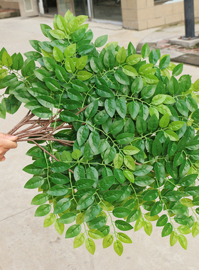 仿真榆树叶手感过胶塑料榆树支绿色植植物叶子假树枝工程装饰造型