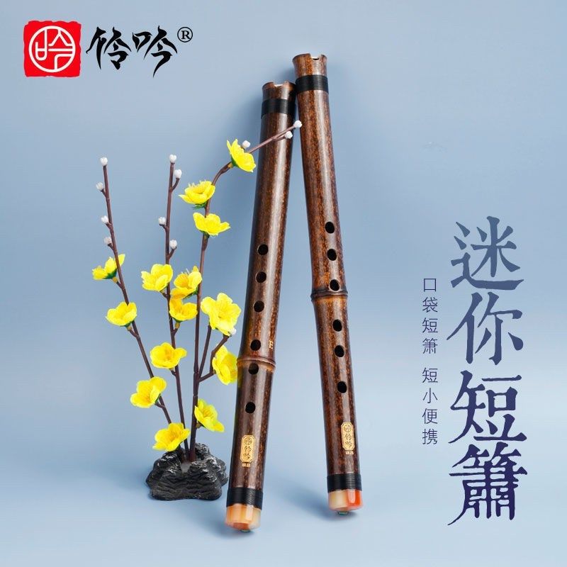 初学入门紫竹短箫6孔E调萧乐器洞箫迷你潇学生便携古风