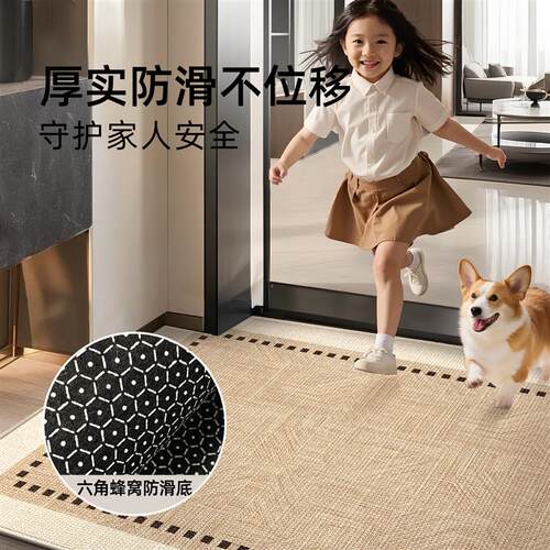 家用入户门地垫2026新款免洗防滑耐脏玄关高级地毯脚垫轻奢可裁剪