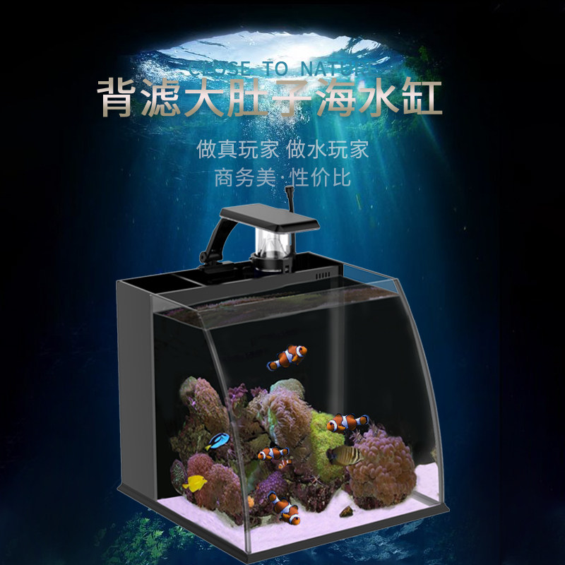 大肚子桌面客厅海水缸全套热弯海水鱼缸水族箱蛋分珊瑚海鱼小丑鱼