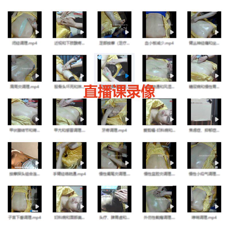狻戬酸碱平衡华林dds生物电理疗按摩仪器人体经络细胞修复电疗仪
