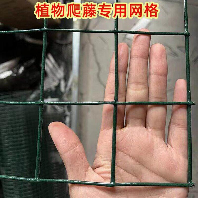 月季爬藤花墙架专用铁丝网花架蔷薇花植物爬墙固定网格壁挂爬藤架