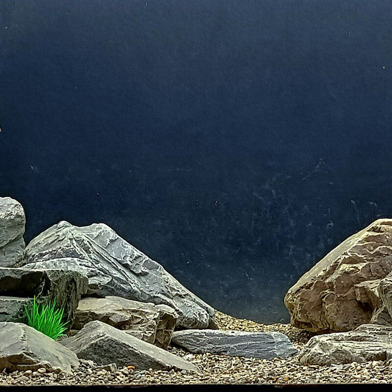 原生缸造景溪流缸片岩溪流石造景石三湖造景溪流沙页岩虾虎缸