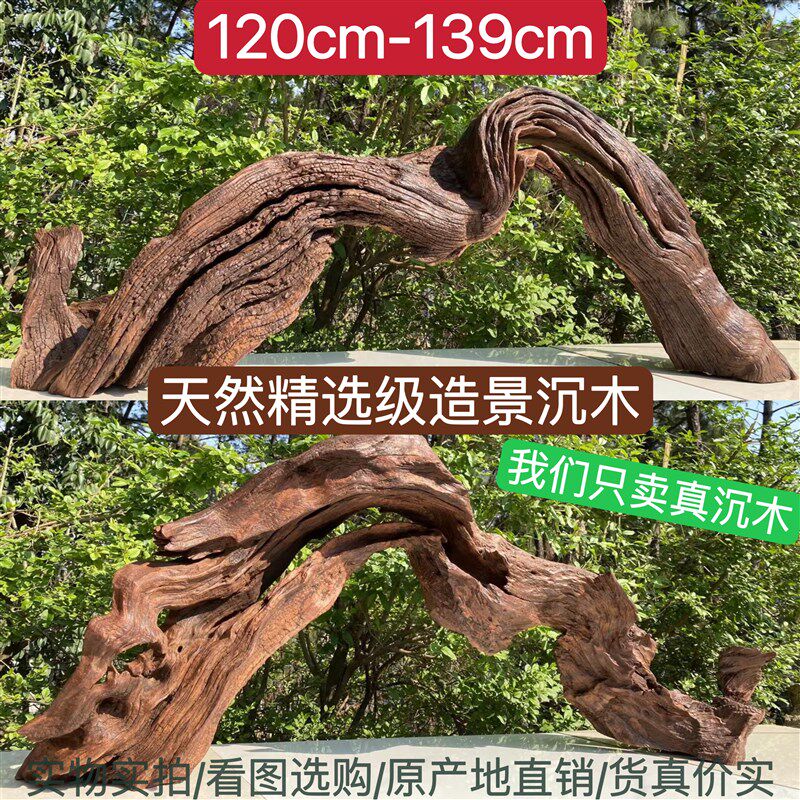 120cm-139cm大型精品拱桥南美多枝水草造景枝条树桩龟晒台紫柚木