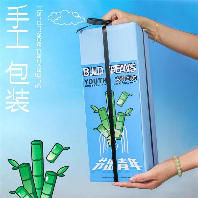涂鸦造物 水培富贵竹创意办公室桌面小盆栽植物绿植摆件