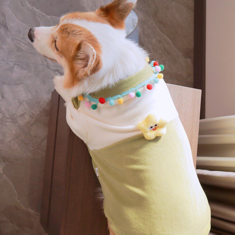 柯基柴犬串串田园犬加绒加厚奥粒绒T恤宠物衣服毛绒衣服
