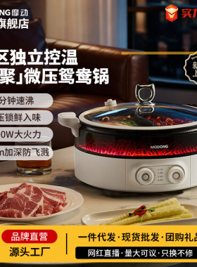 摩动欢聚多功能火焰电火锅家用网红鸳鸯锅一体式多功能大容量火锅