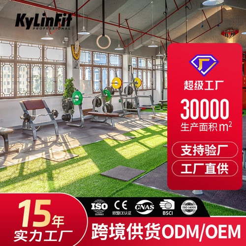健身房人造草坪 室内健身地毯 人工草皮 户外足球场地草坪 25mm